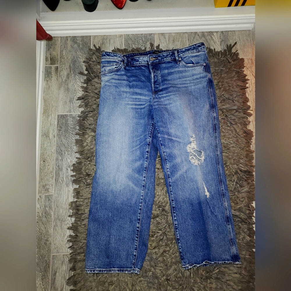 Express Relaxed Straight Low Rise Distressed Jeans